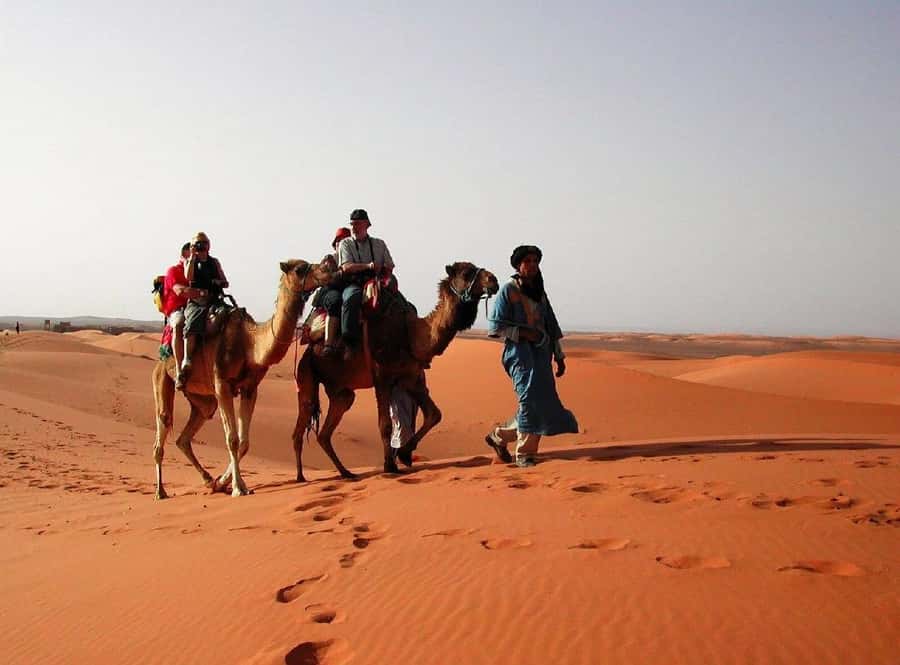 Marrakech: 4-Days Luxury Desert Tour to Fes via Merzouga - Vehicles, Group Size, and Guide Support