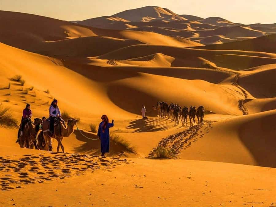 Marrakech: 4-Days Luxury Desert Tour to Fes via Merzouga - Who Should Choose This Desert Route?