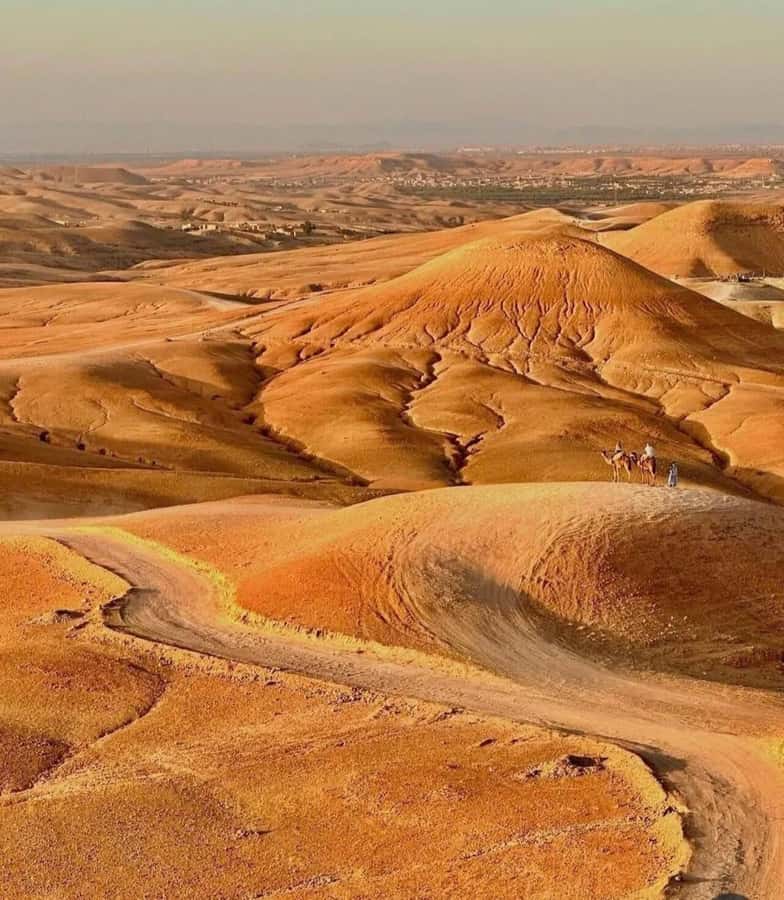 Marrakech : Agafay Desert Sunset Camel Ride & Luxury Dinner - Practical tips for a smoother evening