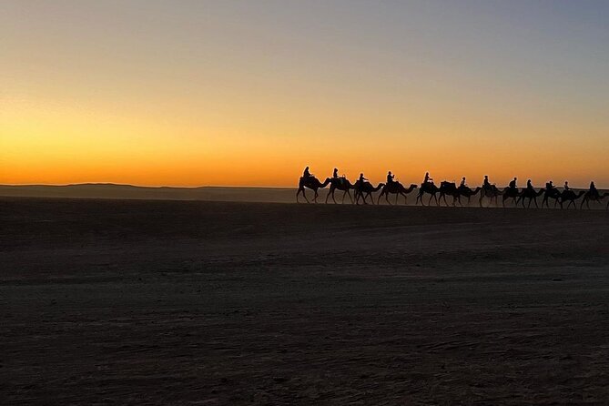 Marrakech: Camels & Quads on Sunset and Luxury Dinner with Show - What the guides and drivers add