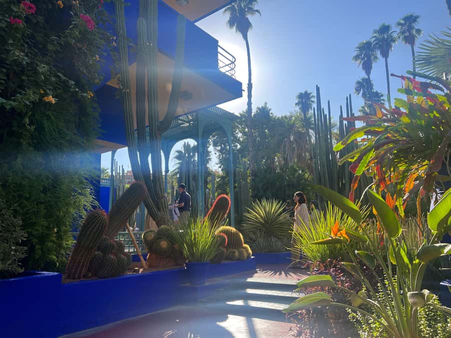 Marrakech City Tour, Private Fullday with Luxury Car - Jardin Majorelle and the Yves Saint Laurent Museum