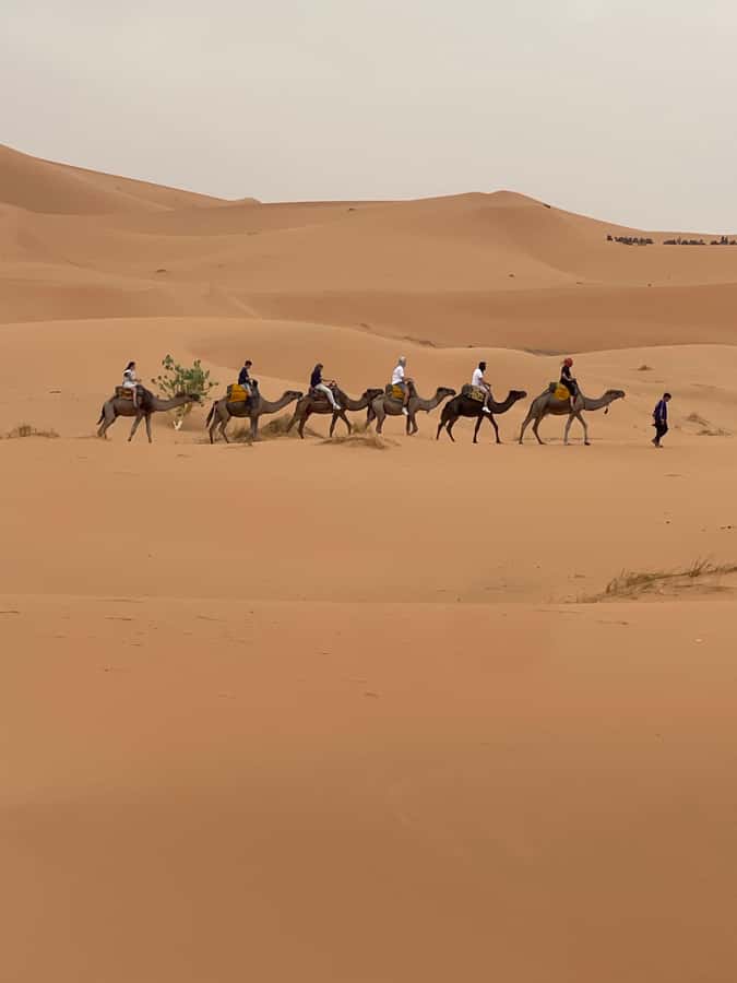 Marrakech To Merzouga : 3-Day Dreams Tours & Luxury Camp - What $208 per person really buys you