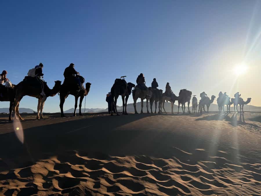 Marrakech to Zagora:2-Day Luxury Sahara Tour with Camel Ride - Key points to know before booking