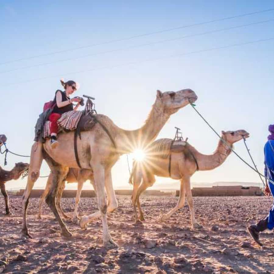 Marrakech to Zagora:2-Day Luxury Sahara Tour with Camel Ride - Who will get the most from this tour
