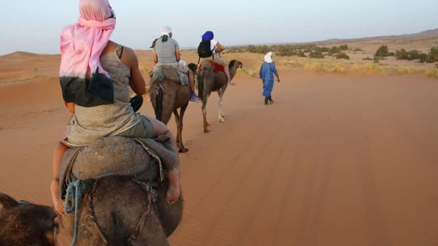 Marrakech to Zagora:2-Day Luxury Sahara Tour with Camel Ride - Sunset camel ride into the Zagora camp