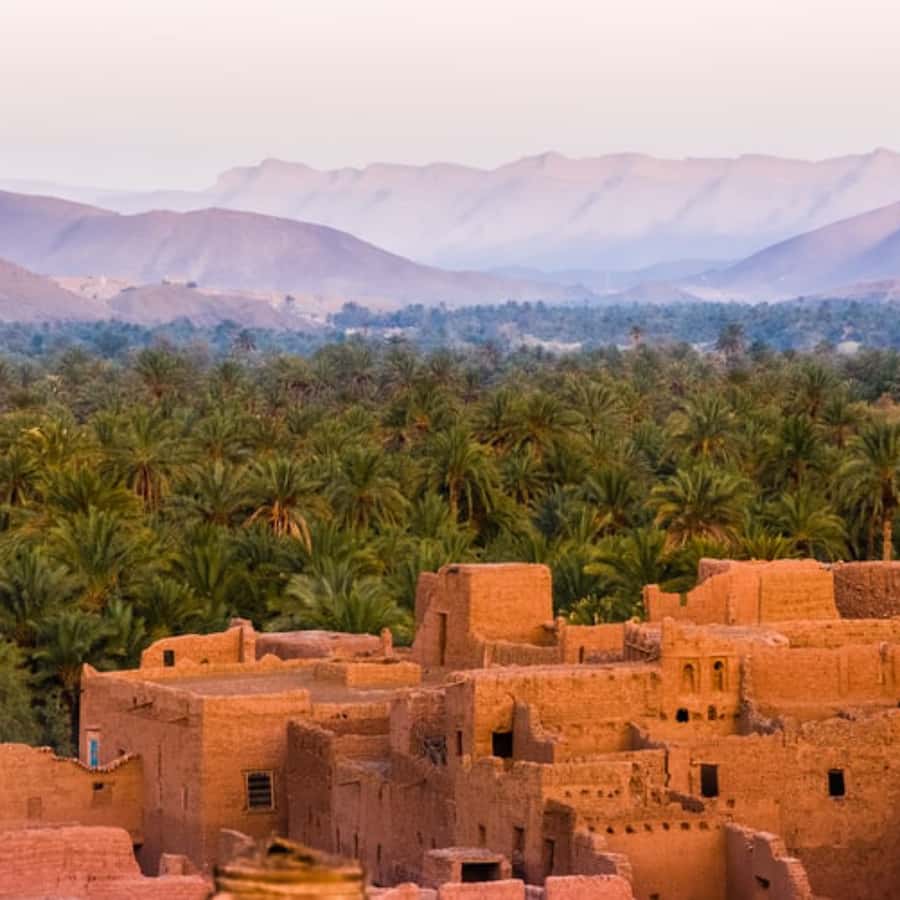 Marrakech to Zagora:2-Day Luxury Sahara Tour with Camel Ride - Sunrise, breakfast, and the return by camel