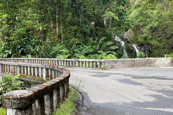 Maui by Storm: Epic Private Luxury Road to Hana Adventure Tour - Laulima Farm and the taste of local Maui