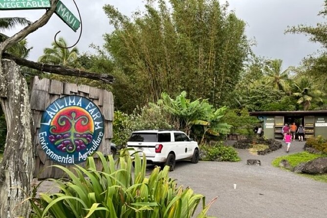Maui by Storm: Epic Private Luxury Road to Hana Adventure Tour - Wailua Falls, Pua’a Ka’a, and the waterfall stops