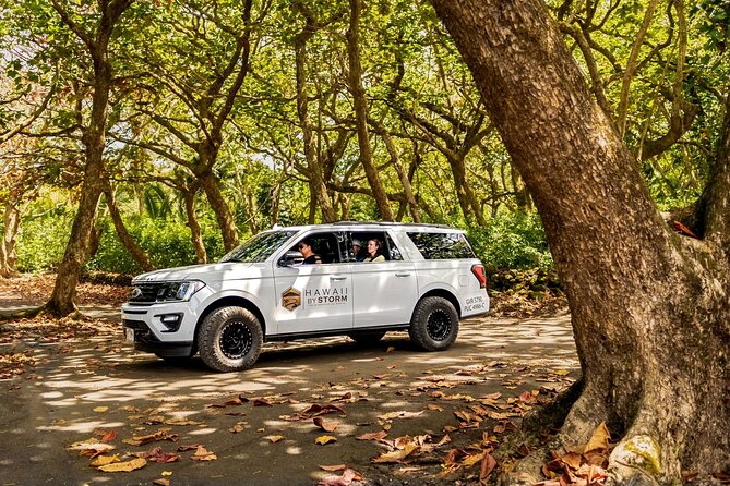 Maui by Storm: Epic Private Luxury Road to Hana Adventure Tour - Ke’anae Point and Hamoa Beach