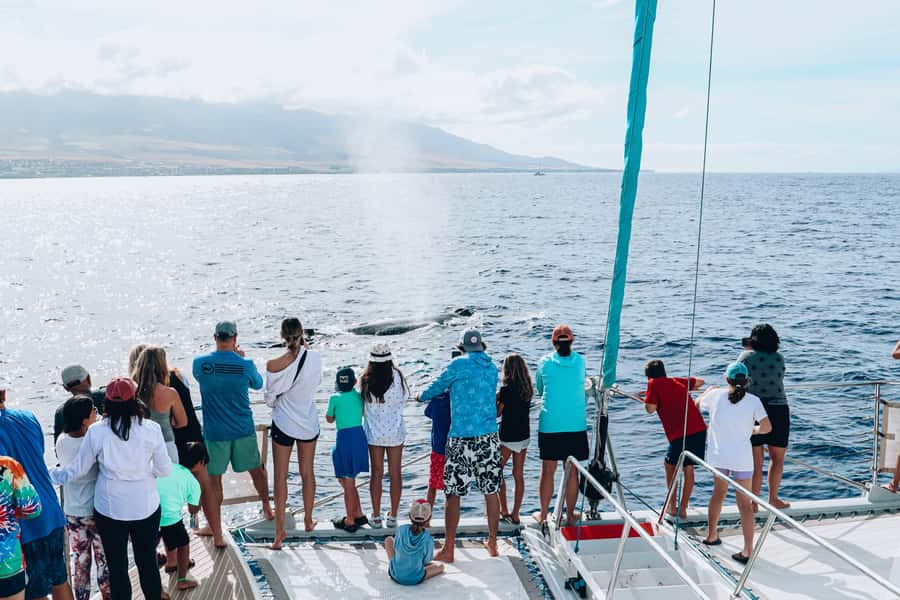 Maui: Ka'anapali Whale Watching Cruise on Luxury Sailboat - The best time to choose this cruise