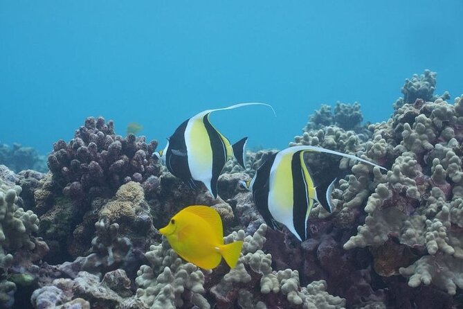 Maui: Molokini and Turtles Luxury Yacht Snorkel - Molokini Crater: clear water, with a weather warning