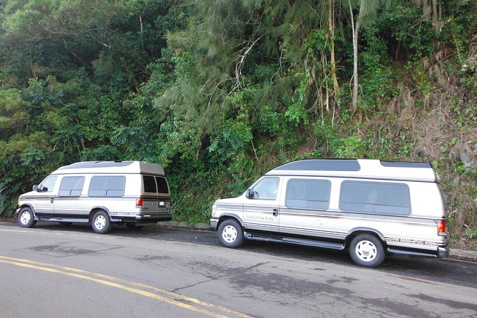 Maui: Road to Hana Luxury Limo-Van Tour with Helicopter Flight - Keanae Point and the working coast
