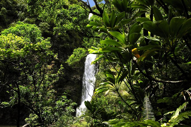 Maui: Road to Hana Luxury Limo-Van Tour with Helicopter Flight - Pacific Rim lunch by the beach