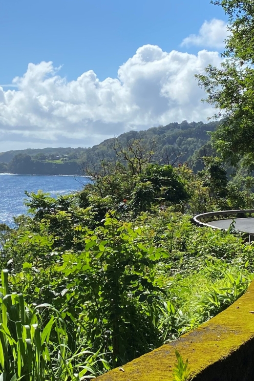 Maui: Road to Hana Private Adventure Tour with Luxury SUV - The luxury SUV and what private touring changes