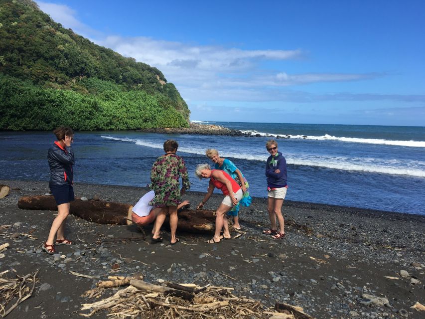 Maui: Road to Hana Private Adventure Tour with Luxury SUV - Wailua Falls and the day’s first possible swim