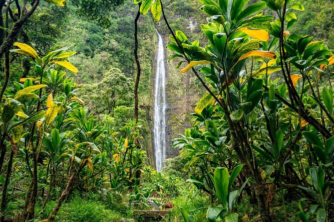 Maui: VIP Private Road to Hana Tour with Pick Up - Wai’anapanapa brings black sand and volcanic drama