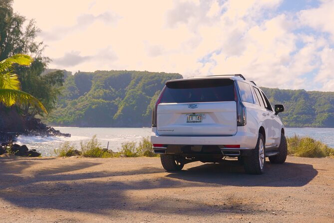 Maui: VIP Private Road to Hana Tour with Pick Up - Koki Beach and Venus Pool suit different kinds of swimmers