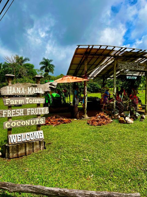 Maui: VIP Road to Hana Private Tour in Convertible SUV - Coconut Glen’s and roadside food