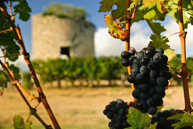 Médoc luxury wine tour aboard a Citroën DS Limousine Convertible - Key points at a glance