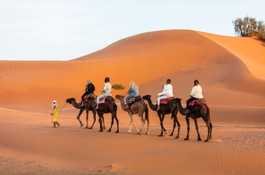 Merzouga: 1-Night in the luxury camp. camel ride & Dinner - Meeting your driver in Merzouga