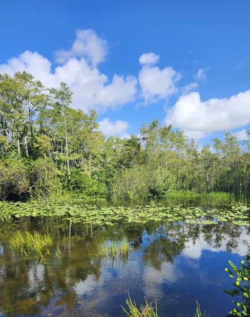 Miami: Everglades Airboat Eco Tour w/ Luxury Transportation - Why this short Everglades trip works from Miami