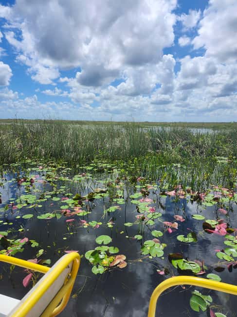 Miami: Everglades Airboat Eco Tour w/ Luxury Transportation - Crossing the River of Grass by open-air airboat