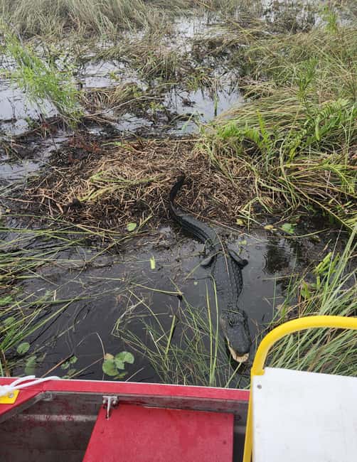Miami: Everglades Airboat Eco Tour w/ Luxury Transportation - The Indian village and reservation stop