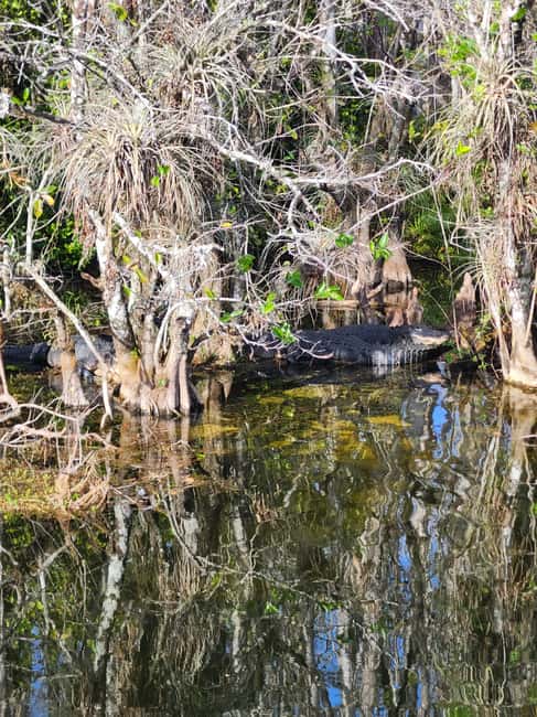 Miami: Everglades Airboat Eco Tour w/ Luxury Transportation - Who will enjoy this tour most