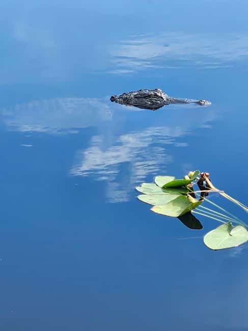 Miami: Everglades Airboat Eco Tour w/ Luxury Transportation - Riding in the Chevrolet Suburban