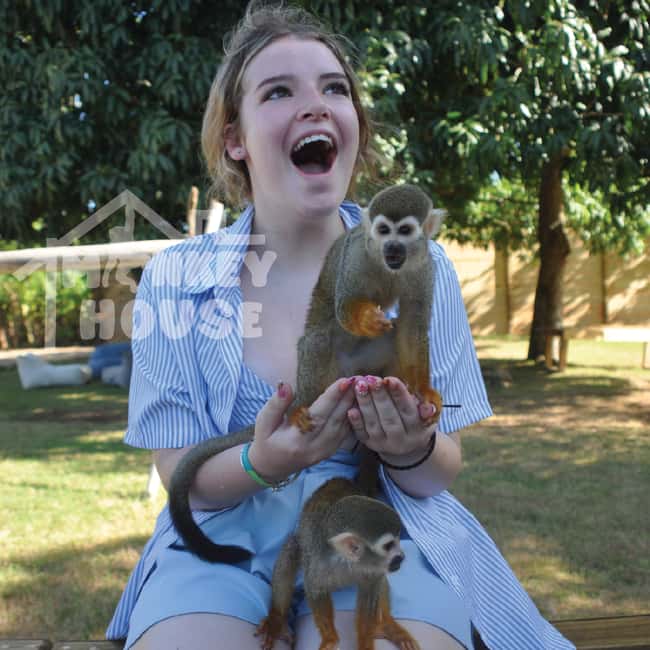 Monkey House VIP – An exclusive experience in Punta Cana - Key points to know before you go