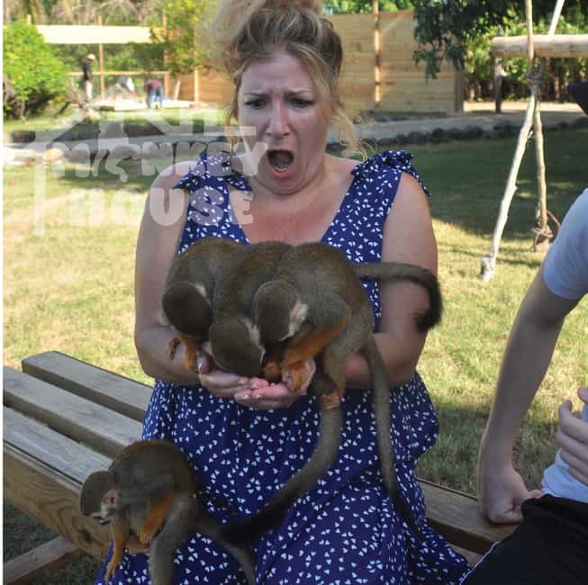 Monkey House VIP – An exclusive experience in Punta Cana - What makes Monkey House VIP different
