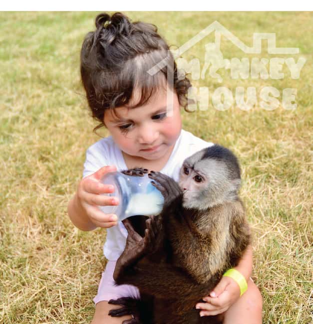 Monkey House VIP – An exclusive experience in Punta Cana - Entering the VIP monkey experience