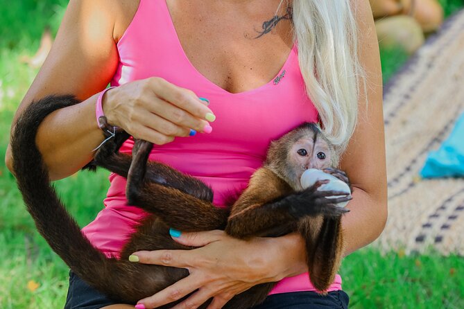 Monkey House VIP Experience with 4 species of monkeys, Punta Cana - Key points to know before booking