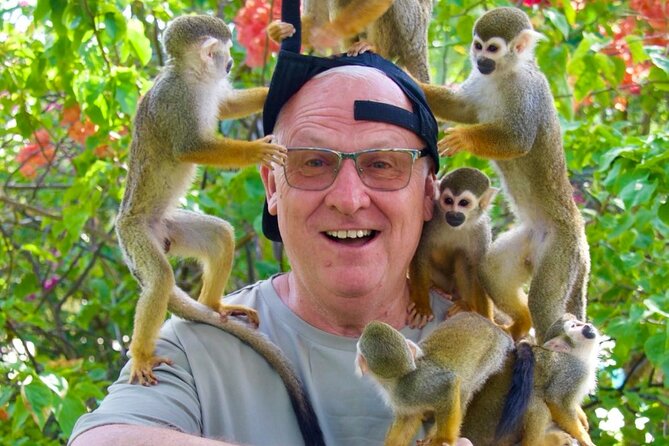 Monkey House VIP Experience with 4 species of monkeys, Punta Cana - Four species, one very hands-on visit