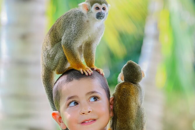 Monkey House VIP Experience with 4 species of monkeys, Punta Cana - Who will enjoy Monkey House most
