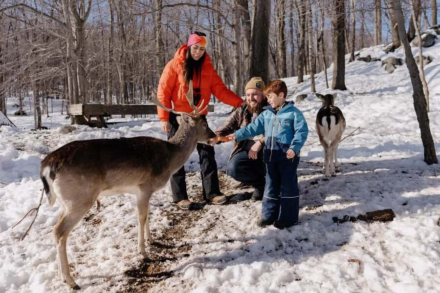Montebello, QC: Morning VIP Tour at Parc Oméga - Why the early morning start matters at Parc Oméga