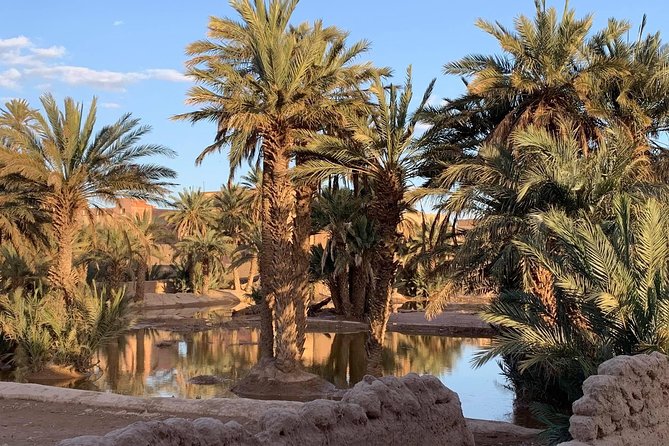 Moroccan Desert 3-Day Luxury Tour from Marrakech - Day three: A beautiful but very long return