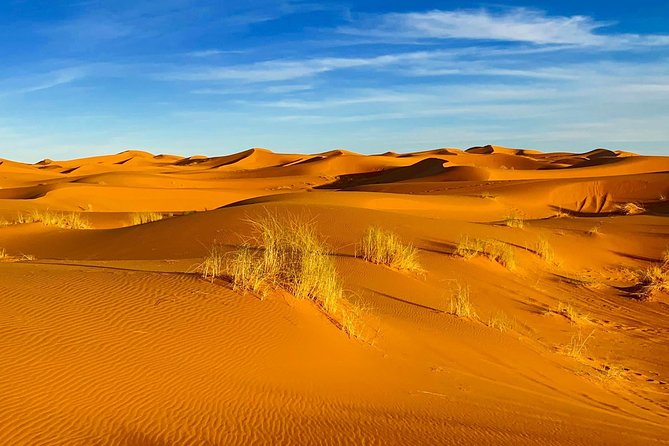 Moroccan Desert 3-Day Luxury Tour from Marrakech - Practical details before you reserve