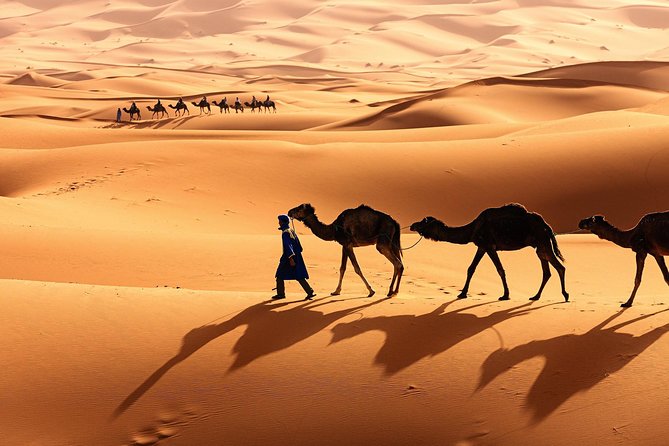 Morocco Top Trips: Luxury 10-Day Private Tour in Morocco - Rabat and Chefchaouen make a strong second day