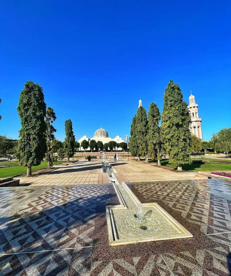 Muscat City Tour and life with Omani Guy ( luxury car). - The $100 price: where the value sits