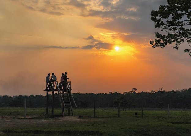Nepal in Luxury: Kathmandu, Chitwan & Pokhara Escape – 8 Days - Six details that shape the experience