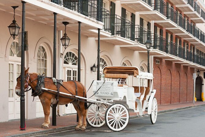 New Orleans VIP Bar and Club Crawl - Key points to know before booking