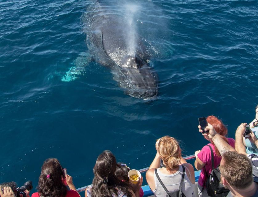 Newport Beach: Luxury Whale Watching Catamaran Cruise - The first coastal views: Balboa Island and Corona del Mar