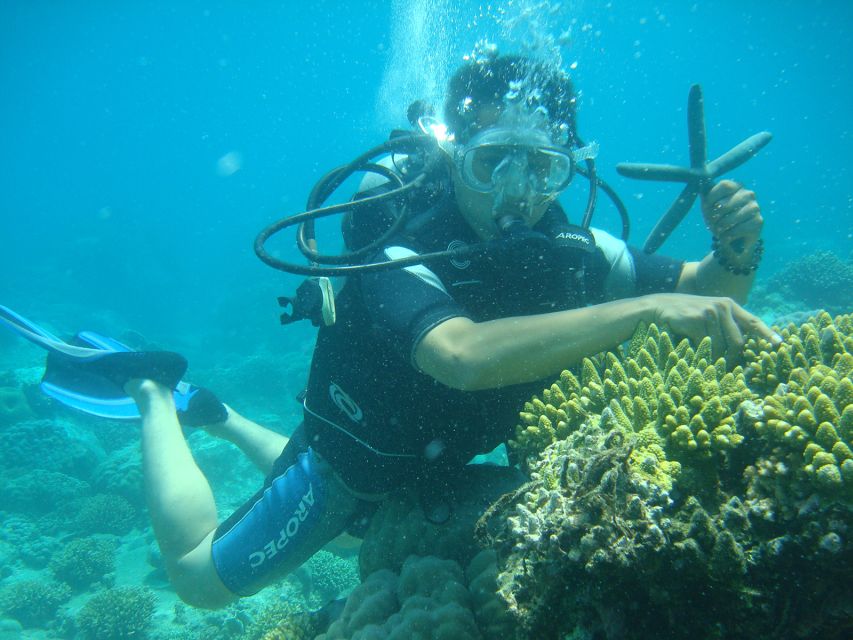 Nha Trang: Best Seller of Luxury Nha Trang Island Discovery - 3:00 coastal cruise back toward Nha Trang