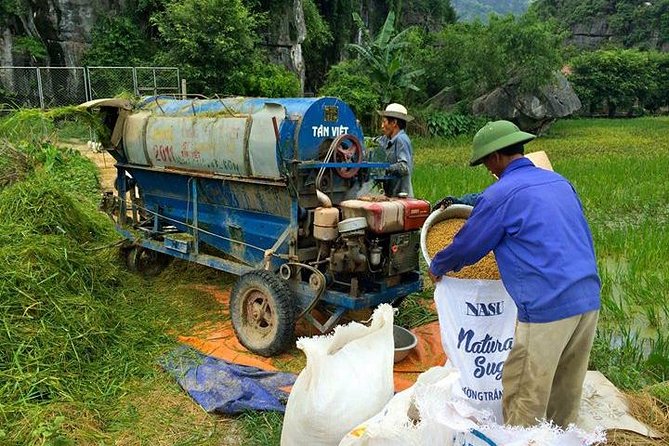 Ninh Binh - Bai Dinh - Trang An full day trip from Hanoi with luxury transfers - Pace, group size, and physical demands
