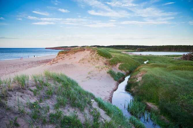 North Shore Tour of Prince Edward Island In Luxury - North Rustico adds boats, lobster, and wide views