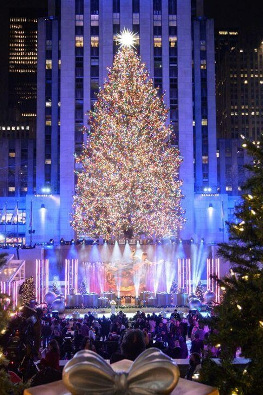 NYC: Dyker Heights and NYC Holiday Lights Luxury Bus Tour - What $75 gets you
