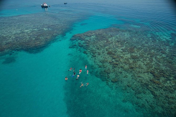 Ocean Freedom Great Barrier Reef Luxury Snorkel and Dive Cruise - Key details before you book