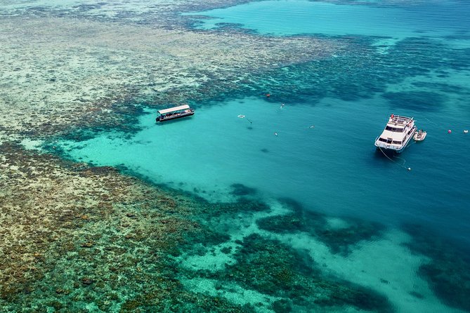 Ocean Freedom Great Barrier Reef Luxury Snorkel and Dive Cruise - A fast catamaran from Cairns to the outer reef