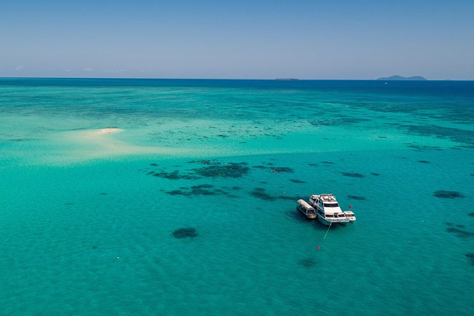 Ocean Freedom Great Barrier Reef Luxury Snorkel and Dive Cruise - Lunch is a serious part of the day